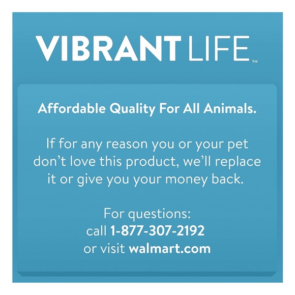 Vibrant Life Pet travel carrier - Picture 10 of 11